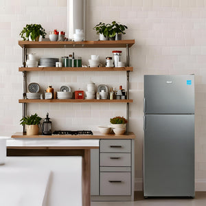 Equator Advanced Appliances 14.3-cu ft Counter-Depth Top-Freezer Refrigerator ( Stainless Steel ) ENERGY STAR Certified