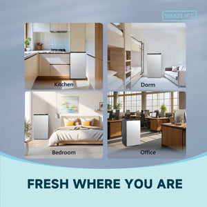 SIMZLIFE 3.2-cu ft Mini Fridge with Freezer ( Silver ) Garage Ready